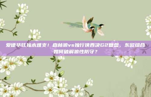 爱德华兹独木难支！森林狼vs独行侠西决G2复盘，东欧组合如何破解狼性防守？
