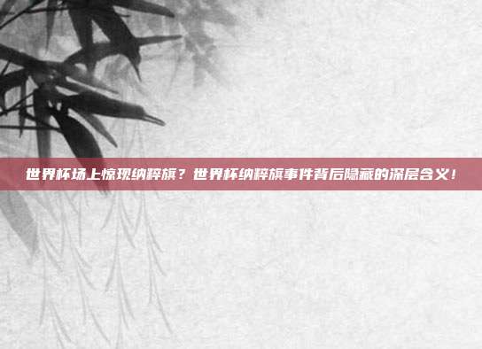 世界杯场上惊现纳粹旗?世界杯纳粹旗事件背后隐藏的深层含义!