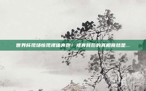 世界杯现场惊现裸体奔跑！裸奔背后的真相竟然是...