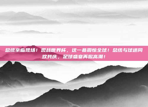 总统亲临现场！观战世界杯，这一幕震惊全球！总统与球迷同欢共庆，足球盛宴再掀高潮！