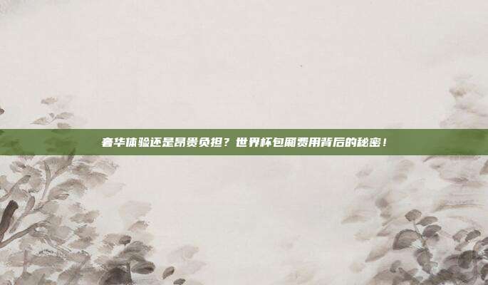 奢华体验还是昂贵负担？世界杯包厢费用背后的秘密！