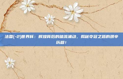 法国(-2)世界杯：辉煌背后的暗流涌动，揭秘夺冠之路的艰辛历程！