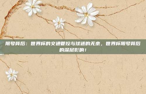 限号背后：世界杯的交通管控与球迷的无奈，世界杯限号背后的深层影响！