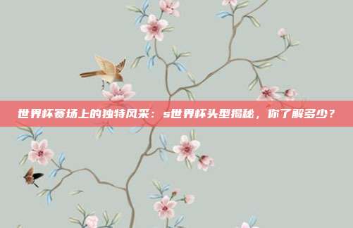 世界杯赛场上的独特风采：s世界杯头型揭秘，你了解多少？