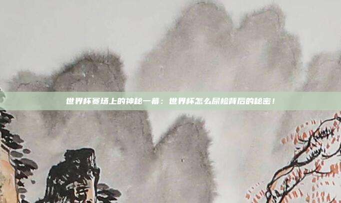 世界杯赛场上的神秘一幕：世界杯怎么尿检背后的秘密！