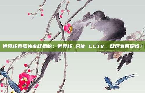 世界杯直播独家权揭秘：世界杯 只能 CCTV，背后有何隐情？