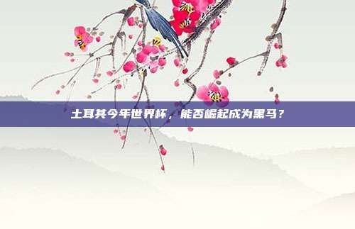 土耳其今年世界杯，能否崛起成为黑马？