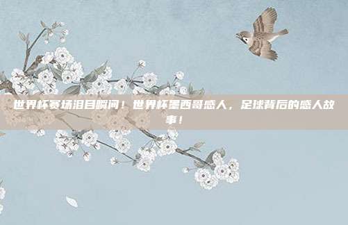 世界杯赛场泪目瞬间！世界杯墨西哥感人，足球背后的感人故事！