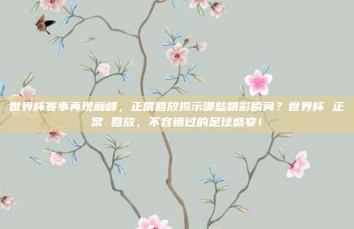 世界杯赛事再现巅峰，正常回放揭示哪些精彩瞬间？世界杯 正常 回放，不容错过的足球盛宴！
