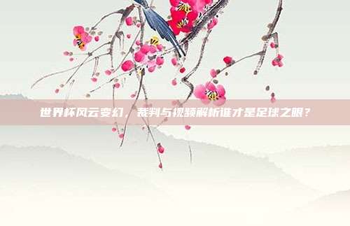 世界杯风云变幻，裁判与视频解析谁才是足球之眼？