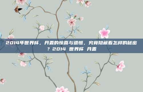 2014年世界杯，丹麦的惊喜与遗憾，究竟隐藏着怎样的秘密？2014 世界杯 丹麦