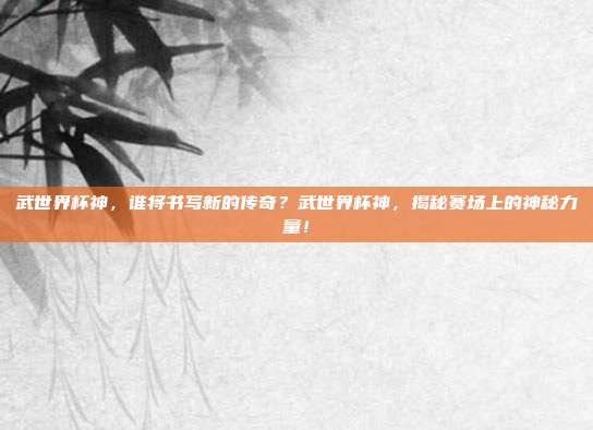 武世界杯神，谁将书写新的传奇？武世界杯神，揭秘赛场上的神秘力量！