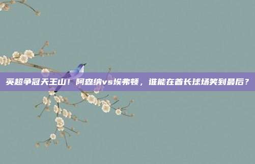 英超争冠天王山！阿森纳vs埃弗顿，谁能在酋长球场笑到最后？
