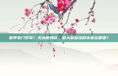意甲豪门梦碎！无缘世界杯，意大利足球的未来在哪里？