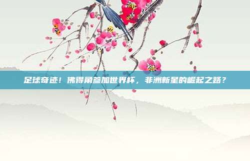 足球奇迹！佛得角参加世界杯，非洲新星的崛起之路？