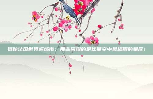 揭秘法国世界杯城市：那些闪耀的足球星空中最耀眼的星辰！
