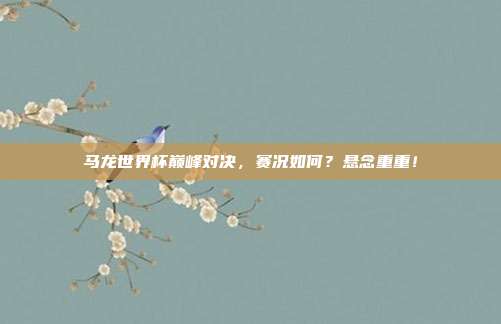 马龙世界杯巅峰对决，赛况如何？悬念重重！