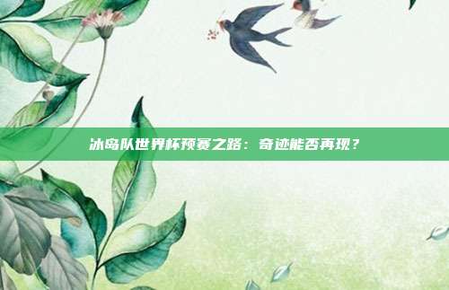 冰岛队世界杯预赛之路：奇迹能否再现？
