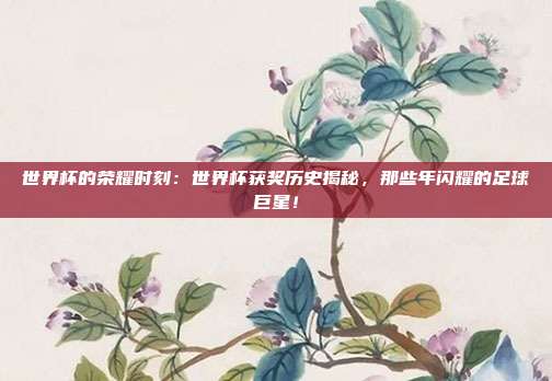 世界杯的荣耀时刻：世界杯获奖历史揭秘，那些年闪耀的足球巨星！
