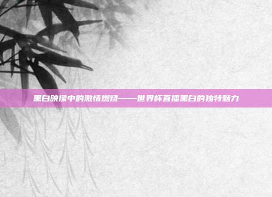 黑白映像中的激情燃烧——世界杯直播黑白的独特魅力
