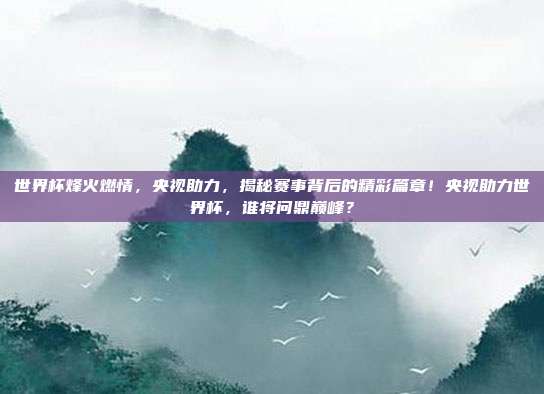 世界杯烽火燃情，央视助力，揭秘赛事背后的精彩篇章！央视助力世界杯，谁将问鼎巅峰？