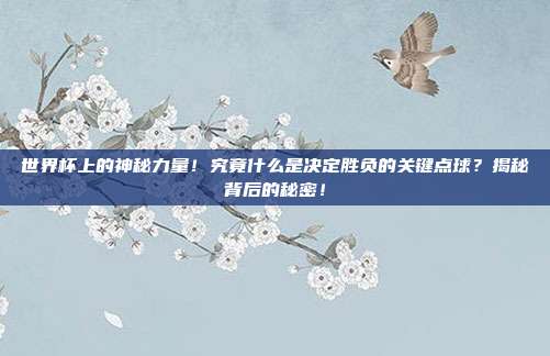 世界杯上的神秘力量！究竟什么是决定胜负的关键点球？揭秘背后的秘密！