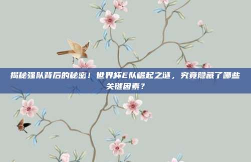 揭秘强队背后的秘密！世界杯E队崛起之谜，究竟隐藏了哪些关键因素？