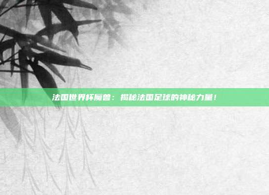 法国世界杯魔兽：揭秘法国足球的神秘力量！