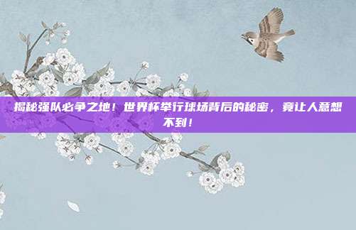 揭秘强队必争之地！世界杯举行球场背后的秘密，竟让人意想不到！
