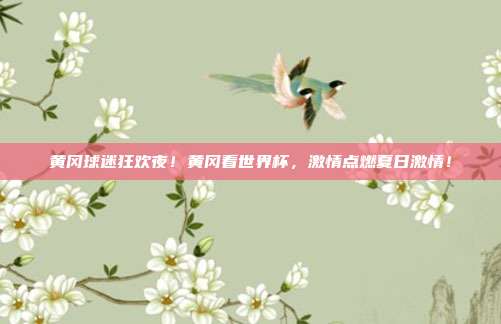 黄冈球迷狂欢夜！黄冈看世界杯，激情点燃夏日激情！