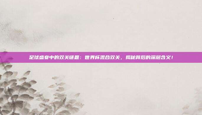 足球盛宴中的双关谜题：世界杯混合双关，揭秘背后的深层含义！