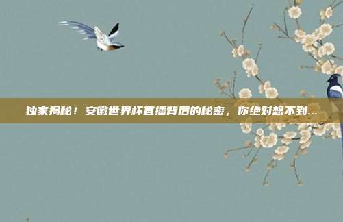 独家揭秘！安徽世界杯直播背后的秘密，你绝对想不到...