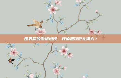 世界杯的激情燃烧，我的足球梦在何方？