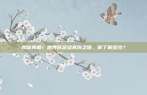 揭秘真相！世界杯足球真伪之谜，你了解多少？