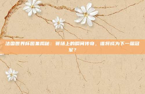 法国世界杯图集揭秘：赛场上的瞬间传奇，谁将成为下一届冠军？