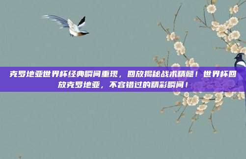 克罗地亚世界杯经典瞬间重现，回放揭秘战术精髓！世界杯回放克罗地亚，不容错过的精彩瞬间！