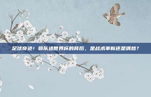 足球奇迹！弱队进世界杯的背后，是战术革新还是偶然？