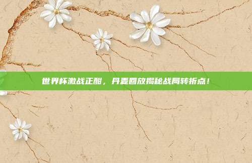 世界杯激战正酣，丹麦回放揭秘战局转折点！