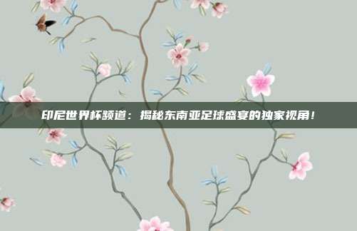 印尼世界杯频道：揭秘东南亚足球盛宴的独家视角！