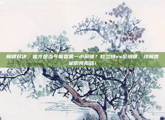 巅峰对决，谁才是当今联盟第一小前锋？杜兰特vs伦纳德，终极答案即将揭晓！