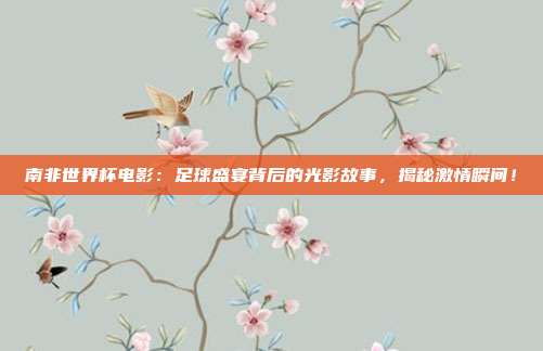南非世界杯电影：足球盛宴背后的光影故事，揭秘激情瞬间！
