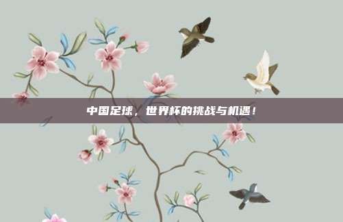 中国足球，世界杯的挑战与机遇！