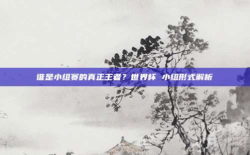 谁是小组赛的真正王者？世界杯 小组形式解析
