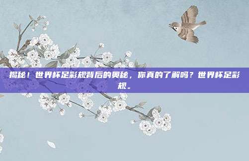 揭秘！世界杯足彩规背后的奥秘，你真的了解吗？世界杯足彩规。