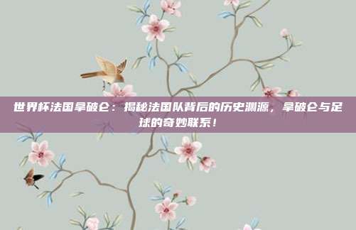 世界杯法国拿破仑：揭秘法国队背后的历史渊源，拿破仑与足球的奇妙联系！