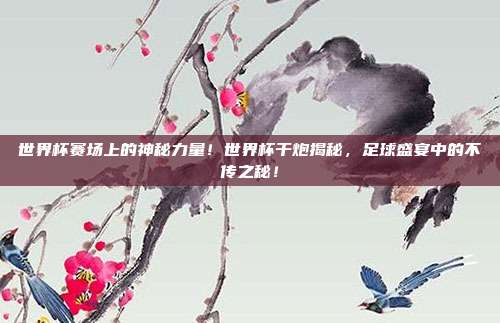 世界杯赛场上的神秘力量！世界杯干炮揭秘，足球盛宴中的不传之秘！