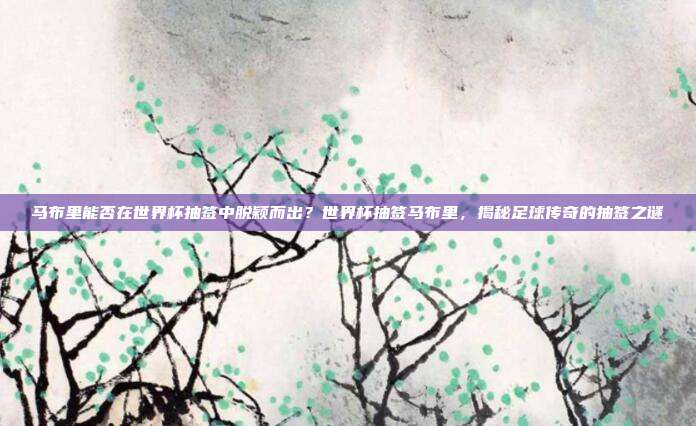 马布里能否在世界杯抽签中脱颖而出？世界杯抽签马布里，揭秘足球传奇的抽签之谜