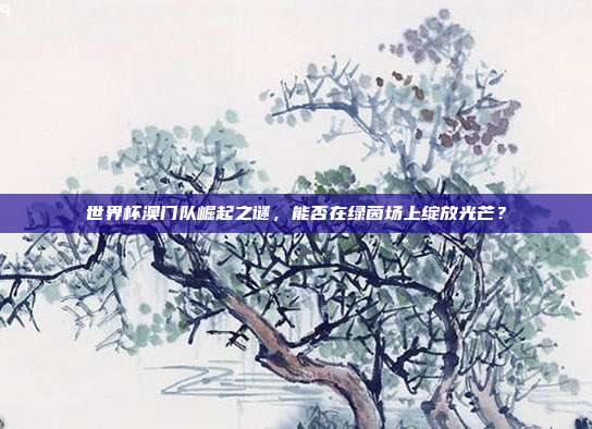 世界杯澳门队崛起之谜，能否在绿茵场上绽放光芒？