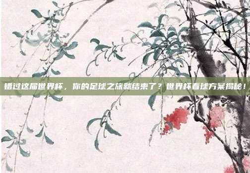 错过这届世界杯，你的足球之旅就结束了？世界杯看球方案揭秘！
