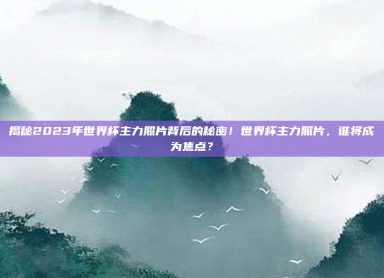 揭秘2023年世界杯主力照片背后的秘密！世界杯主力照片，谁将成为焦点？